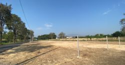 Land for sale in Mooban Wang Tan