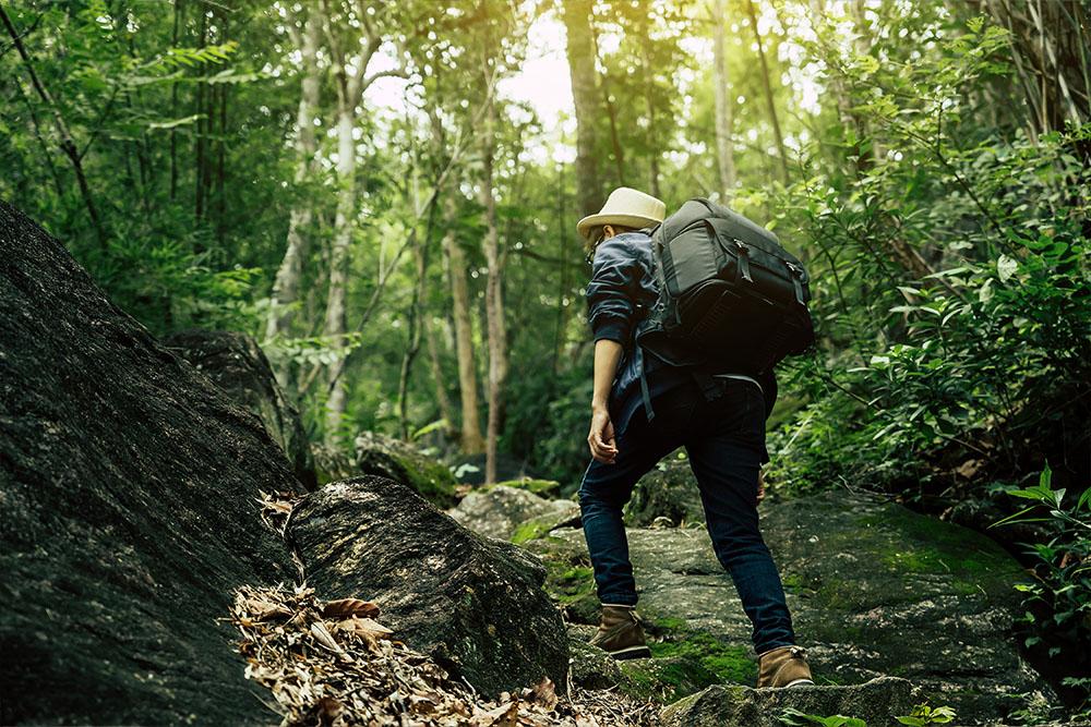 hiking paths