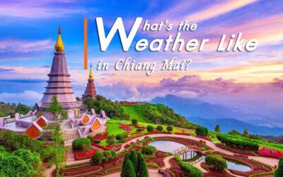 What’s the Weather Like in Chiang Mai?