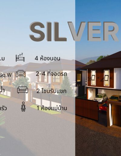 Silver type